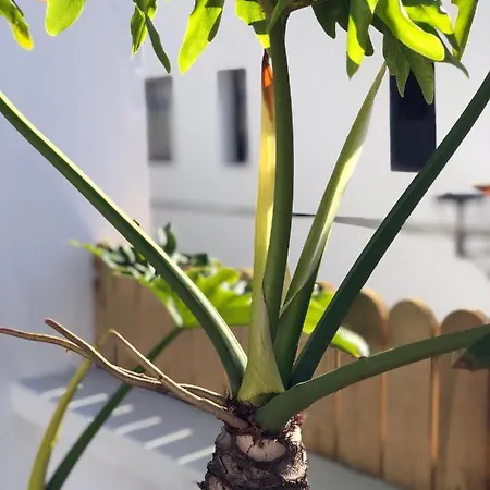 Сasa de vacaciones Punta Brava Sun