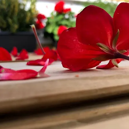 Holiday home Punta Brava Sun Puerto de la Cruz (Tenerife)